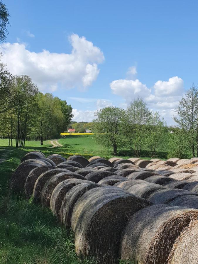 Anni'S Waldblick Burgstadt Exterior foto